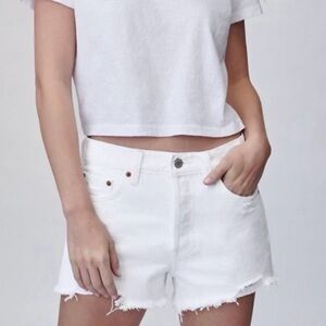 Aritzia Denim Forum Ex Boyfriend Shorts
